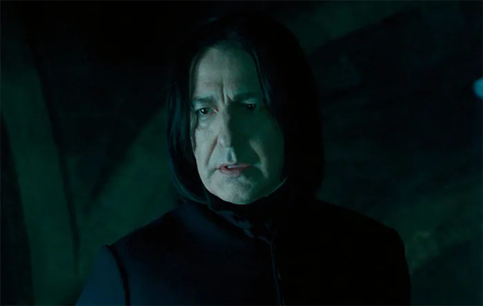 Professor Severus Snape – Harry Potter Series