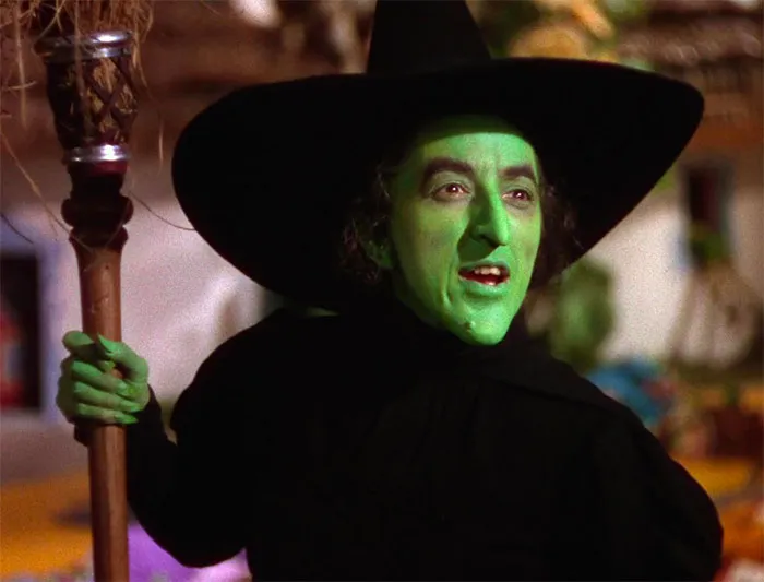 The Wicked Witch Of The West - The Wizard Of Oz