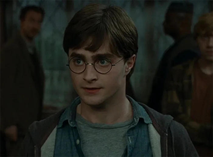 Harry Potter - Harry Potter Movie Series