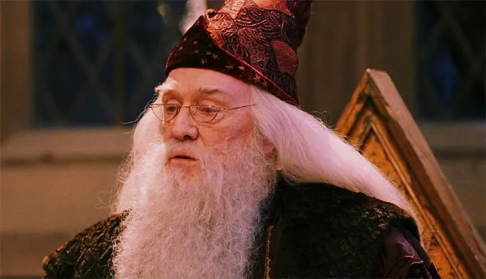 Albus Dumbledore - Harry Potter Movie Series