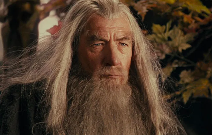 Gandalf - Lord Of The Rings