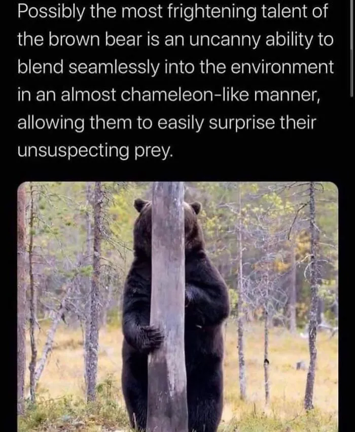This Group Exists “To Make Your Mood Better”, And Here Are 50 Of Their Posts That May Do Just That