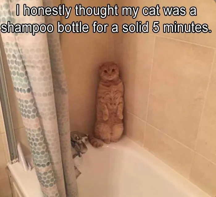 This Group Exists “To Make Your Mood Better”, And Here Are 50 Of Their Posts That May Do Just That