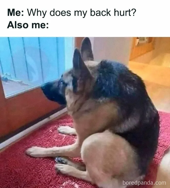 This Group Exists “To Make Your Mood Better”, And Here Are 50 Of Their Posts That May Do Just That