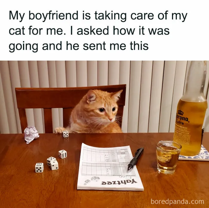 This Group Exists “To Make Your Mood Better”, And Here Are 50 Of Their Posts That May Do Just That