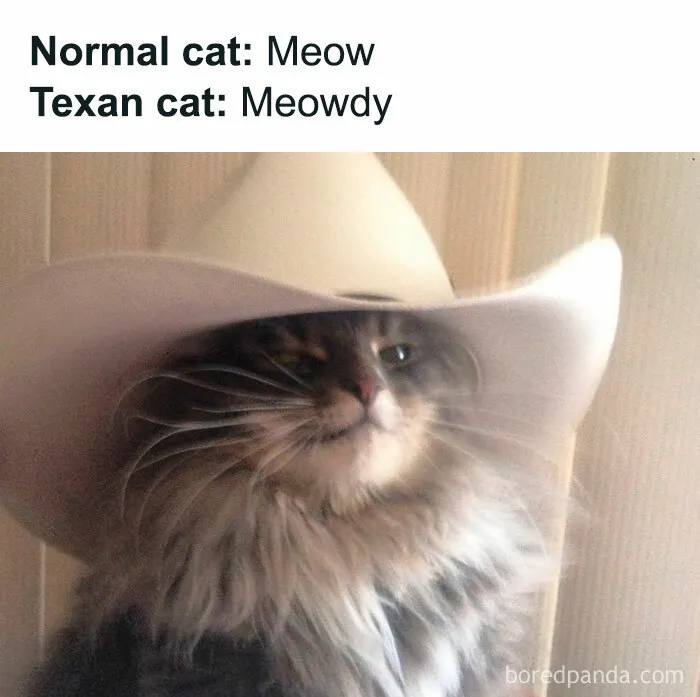 This Group Exists “To Make Your Mood Better”, And Here Are 50 Of Their Posts That May Do Just That