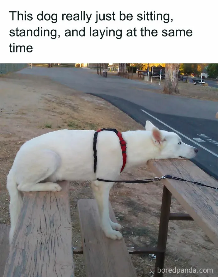This Group Exists “To Make Your Mood Better”, And Here Are 50 Of Their Posts That May Do Just That