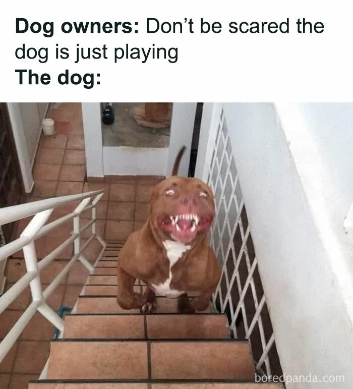 This Group Exists “To Make Your Mood Better”, And Here Are 50 Of Their Posts That May Do Just That