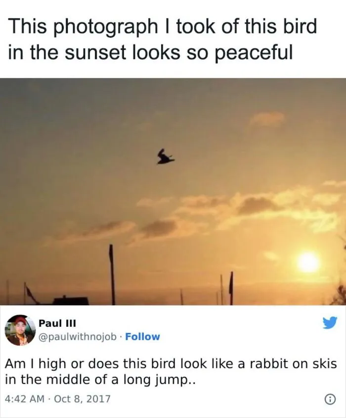 This Group Exists “To Make Your Mood Better”, And Here Are 50 Of Their Posts That May Do Just That