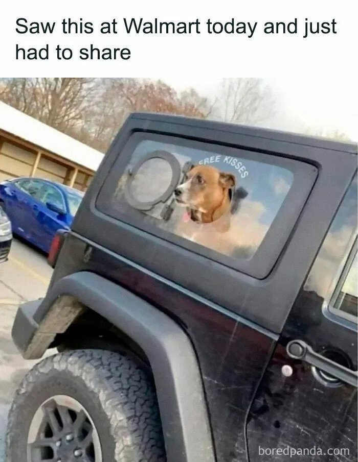 This Group Exists “To Make Your Mood Better”, And Here Are 50 Of Their Posts That May Do Just That