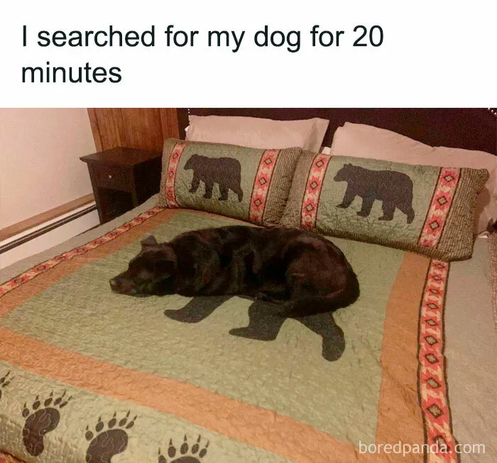 This Group Exists “To Make Your Mood Better”, And Here Are 50 Of Their Posts That May Do Just That