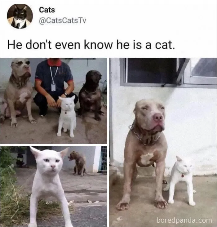 This Group Exists “To Make Your Mood Better”, And Here Are 50 Of Their Posts That May Do Just That