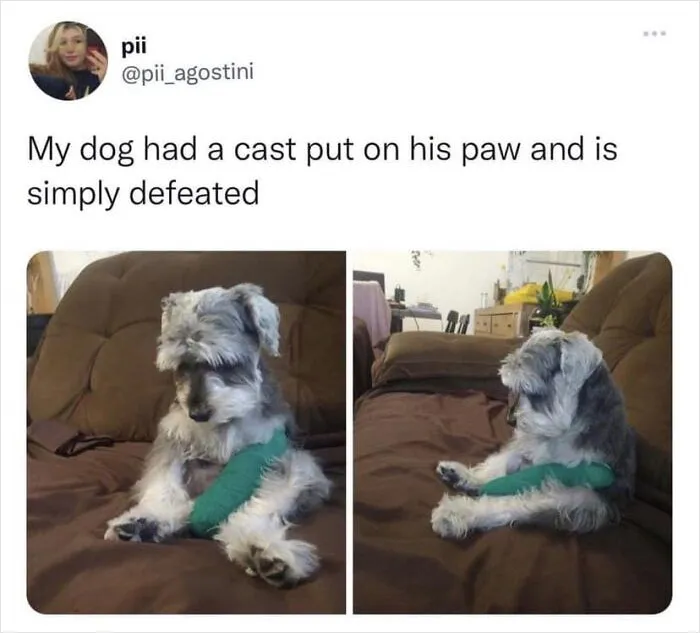 This Group Exists “To Make Your Mood Better”, And Here Are 50 Of Their Posts That May Do Just That