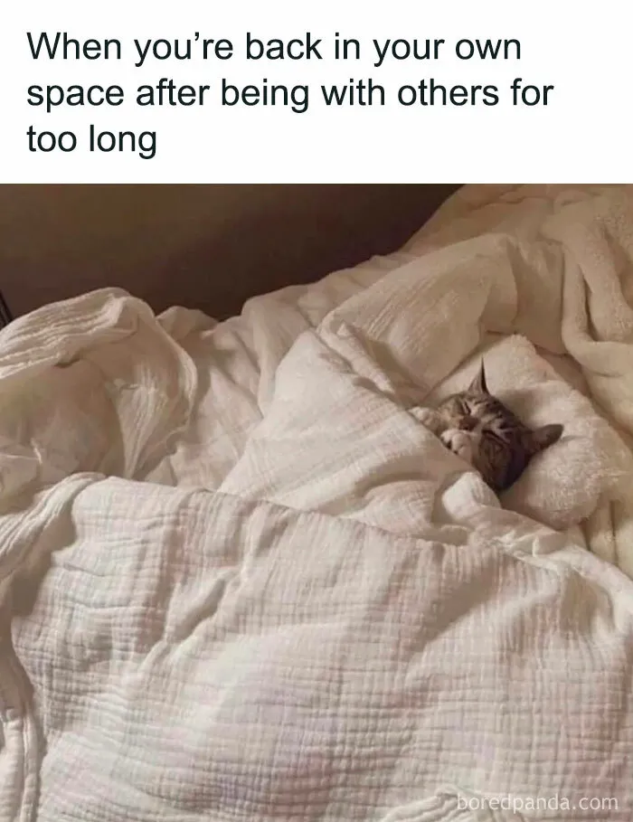 This Group Exists “To Make Your Mood Better”, And Here Are 50 Of Their Posts That May Do Just That