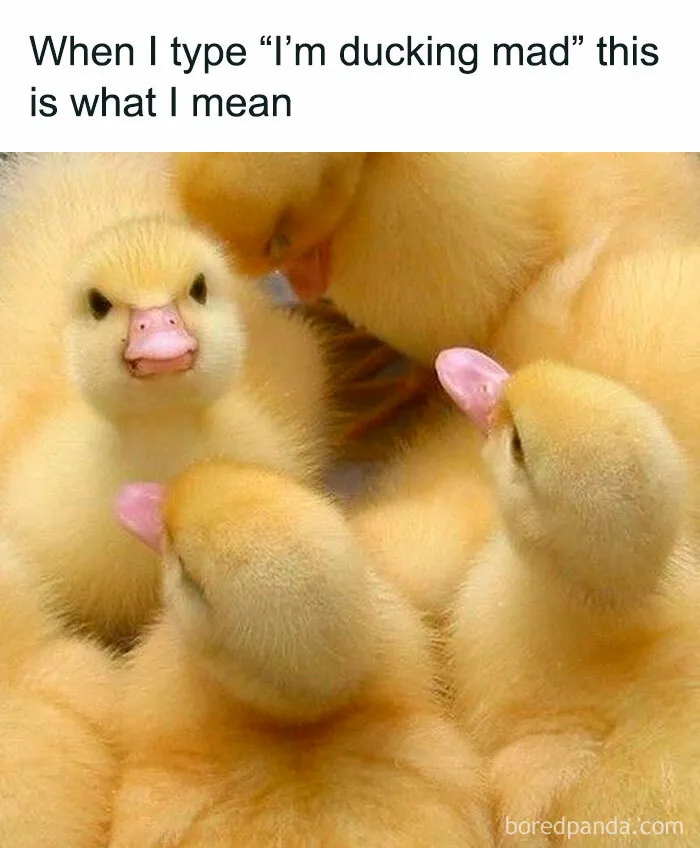 This Group Exists “To Make Your Mood Better”, And Here Are 50 Of Their Posts That May Do Just That