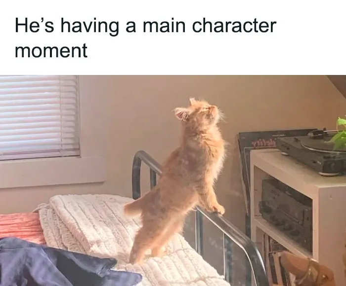 This Group Exists “To Make Your Mood Better”, And Here Are 50 Of Their Posts That May Do Just That
