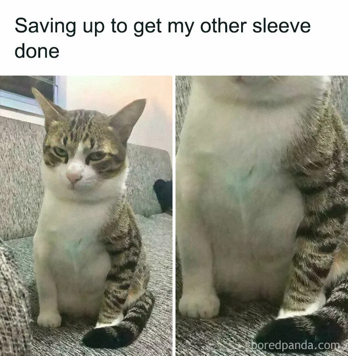 This Group Exists “To Make Your Mood Better”, And Here Are 50 Of Their Posts That May Do Just That