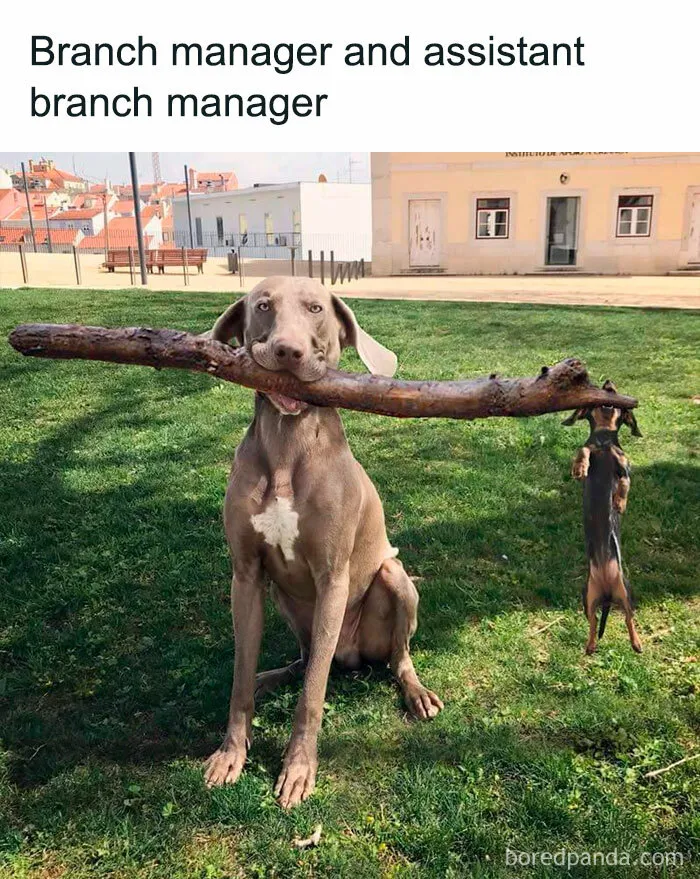 This Group Exists “To Make Your Mood Better”, And Here Are 50 Of Their Posts That May Do Just That
