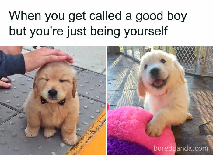 This Group Exists “To Make Your Mood Better”, And Here Are 50 Of Their Posts That May Do Just That