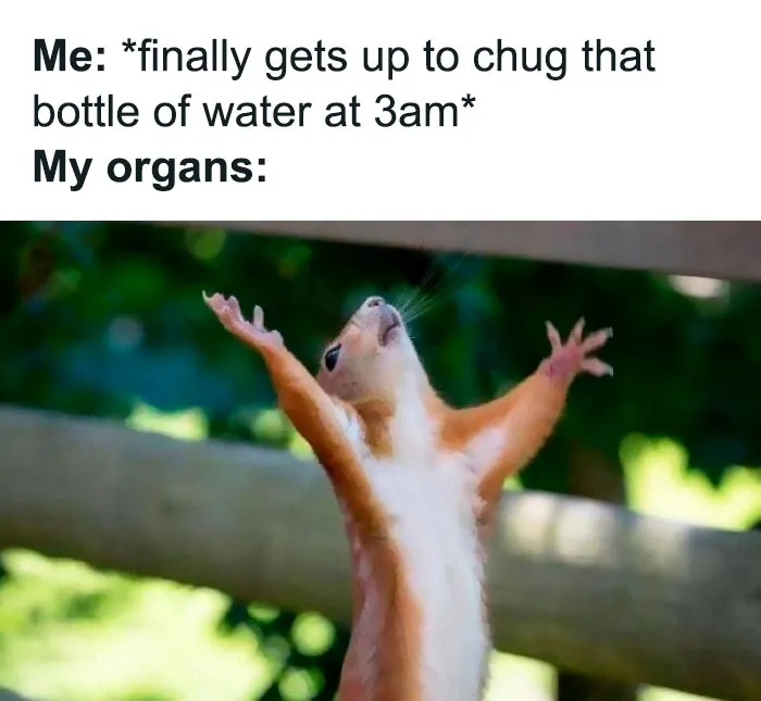 This Group Exists “To Make Your Mood Better”, And Here Are 50 Of Their Posts That May Do Just That