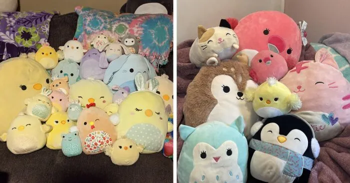 Hey Pandas, Show Me Your Collection Of Squishmallows (Closed)