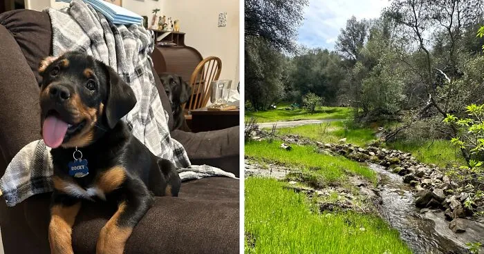 Hey Pandas, Share Your Happy Place