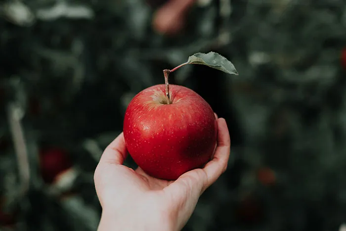 Temptation in Hand