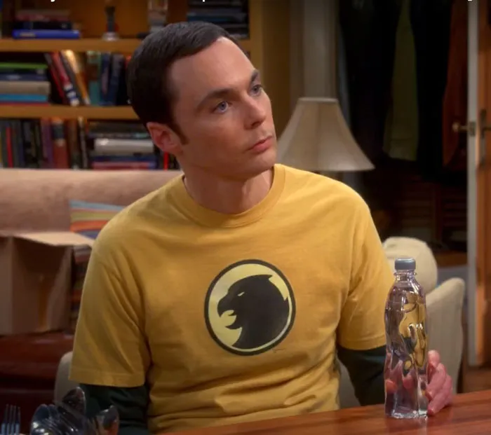Sheldon Cooper - The Big Bang Theory