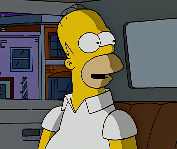 Homer Simpson - The Simpsons