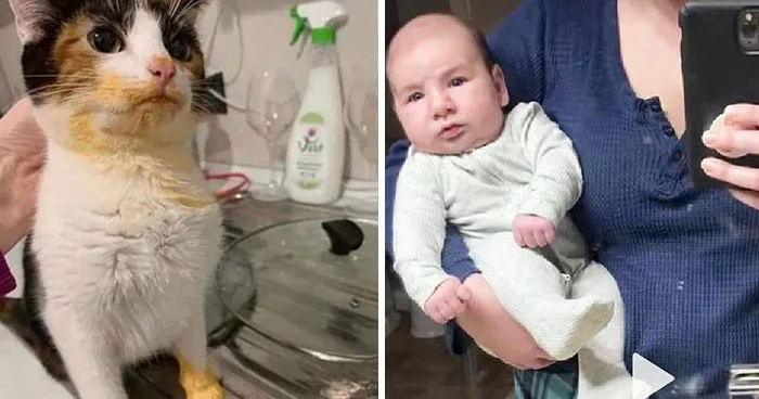 50 Funny "Uncomfortable Memes" To Make You Laugh, As Shared On This Facebook Page