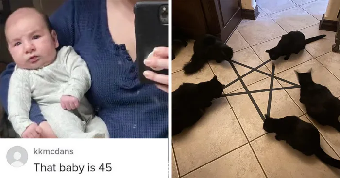 50 Funny "Uncomfortable Memes" To Make You Laugh, As Shared On This Facebook Page