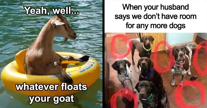 ‘Awkward Animals’: 50 Pics ‘For Animal Lovers Of All Kinds’