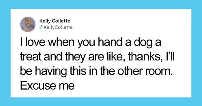 ‘Awkward Animals’: 50 Pics ‘For Animal Lovers Of All Kinds’