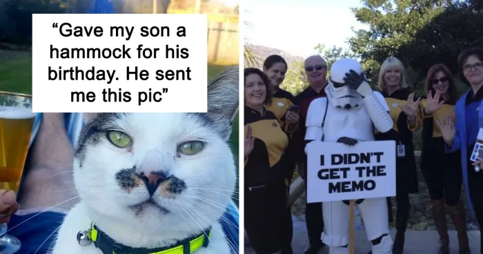 50 Hilarious Celebration Pics That Are Bound To Make You Smile
