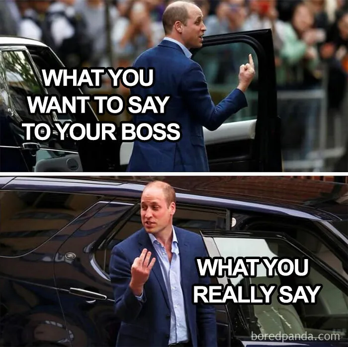 The "Corporate Humor" Instagram Page Shares 35 Hilarious Memes That Perfectly Sum Up How Office Employees Feel (New Pics)