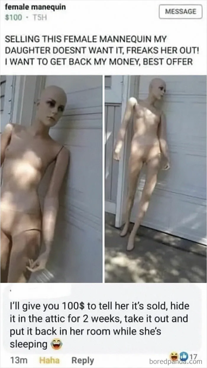 Cursed Offer