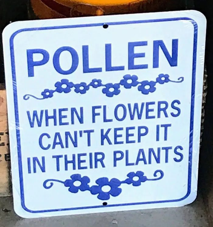 Very Witty Indeed