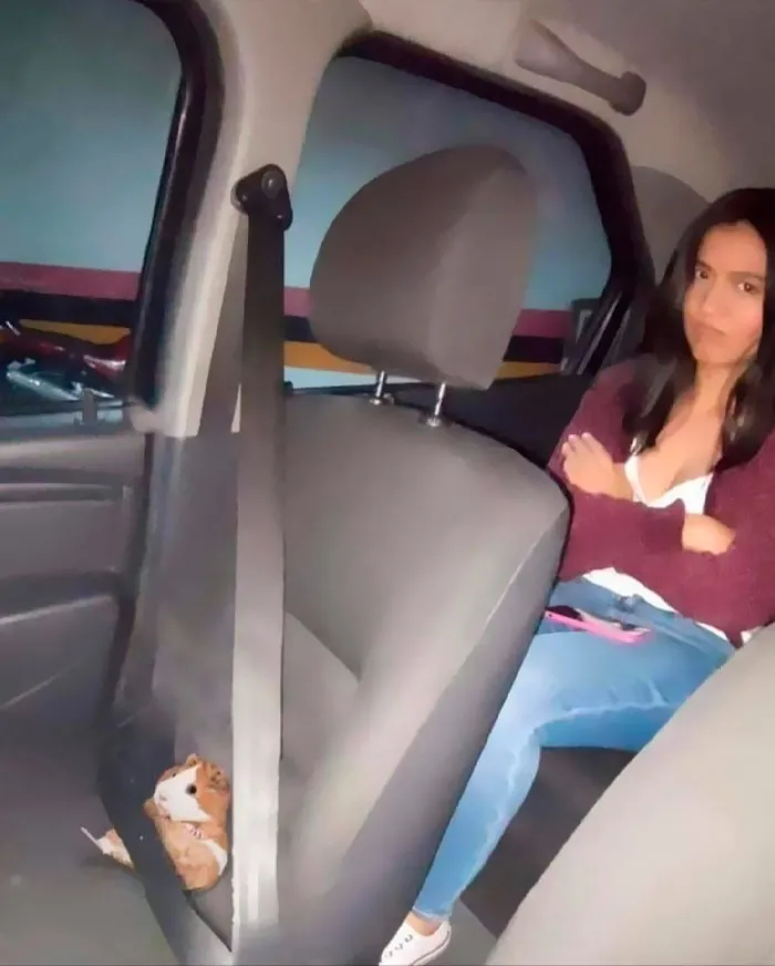 Woman sitting in the backseat of a car, arms crossed, with a plush toy secured by a seatbelt. Unhinged and surreal scene.