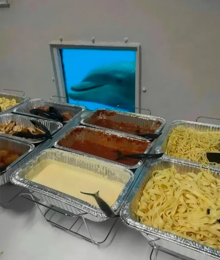 Buffet of pasta dishes with a dolphin curiously observing through a window. Important images capturing surreal and humorous moments.