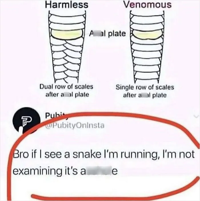 50 Random Posts From This Instagram Account That Are Both Funny And Concerning