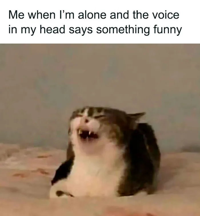 This Instagram Page Shares Spot-On Memes Reflecting The Struggles Of Womanhood And Here Are 50 Of The Funniest Ones