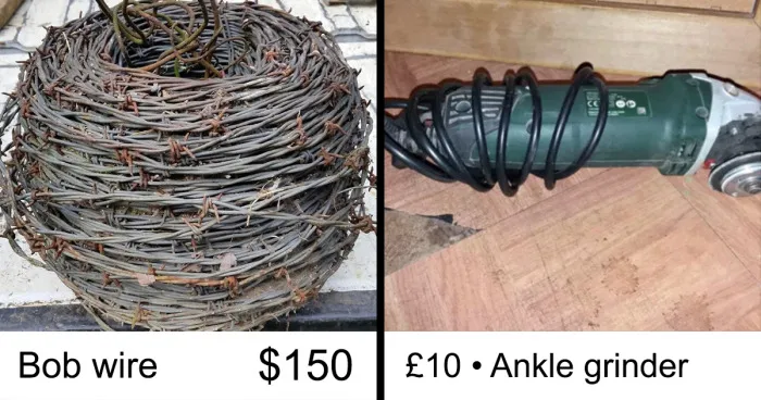 50 Times Confidently Incorrect People Blessed Us With Hilarious Fails With Words (New Pics)