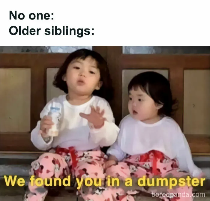 80 "Spicy Memes" To Spice Up Your Day (Exclusive Interview With @spiciest.memess)