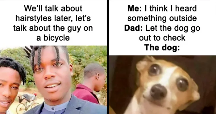 80 "Spicy Memes" To Spice Up Your Day (Exclusive Interview With @spiciest.memess)