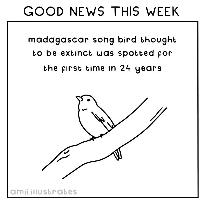 "Good News Of The Week": I Illustrate Good Things That Happened Recently (30 Pics)