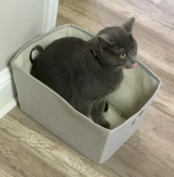 Princess In Her Happy Place