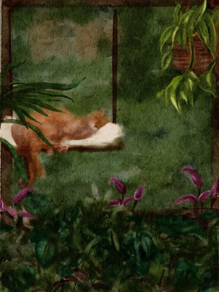 Nap Time