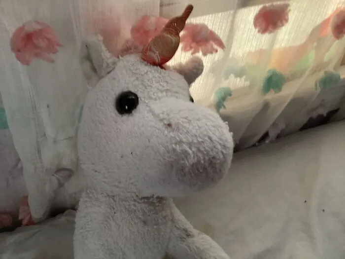 My Stuffed Unicorn Zara, Had Her Since I Was 3