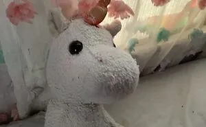 Hey Pandas, Post A Picture Of Your Beloved Stuffed Toy (Closed)