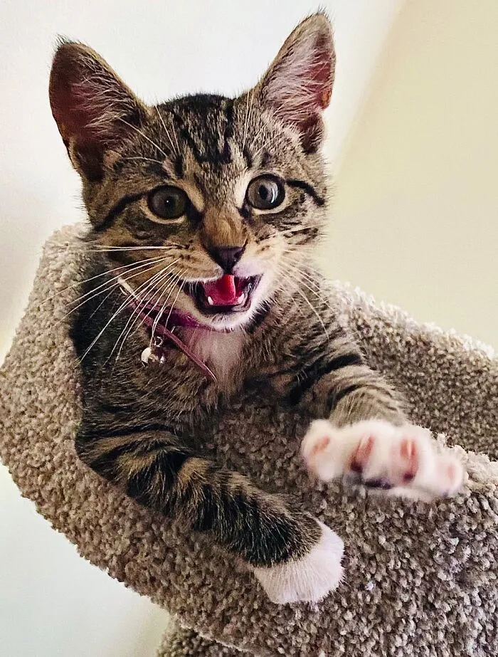This Is Zen, But Not So Zen